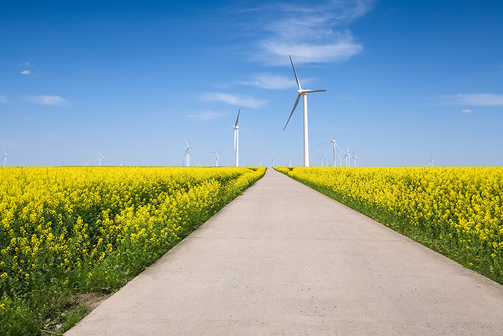 la gestion environnementale au cœur d’une démarche intégrée,