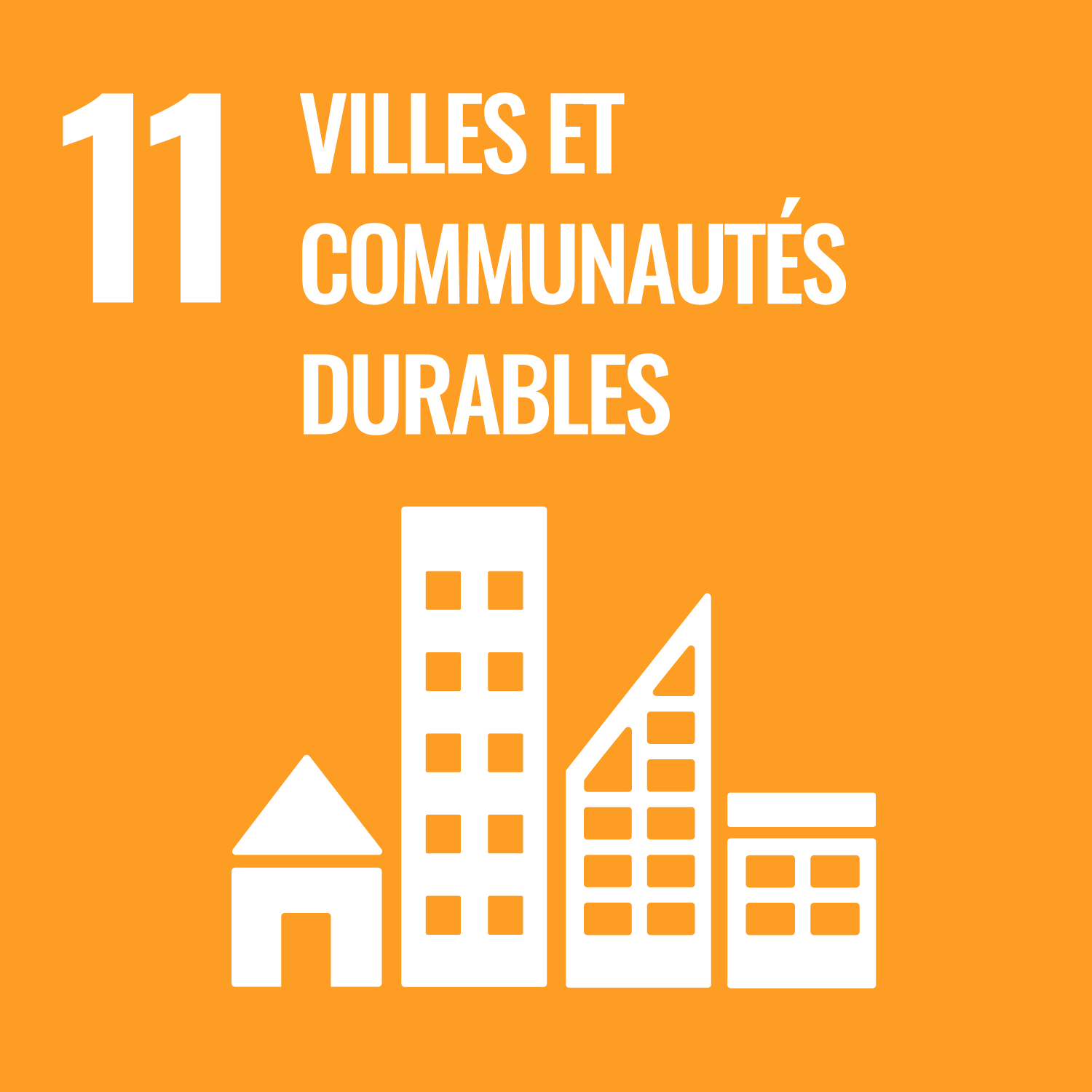 ODD 11 : mise en place de villes et communautés durable