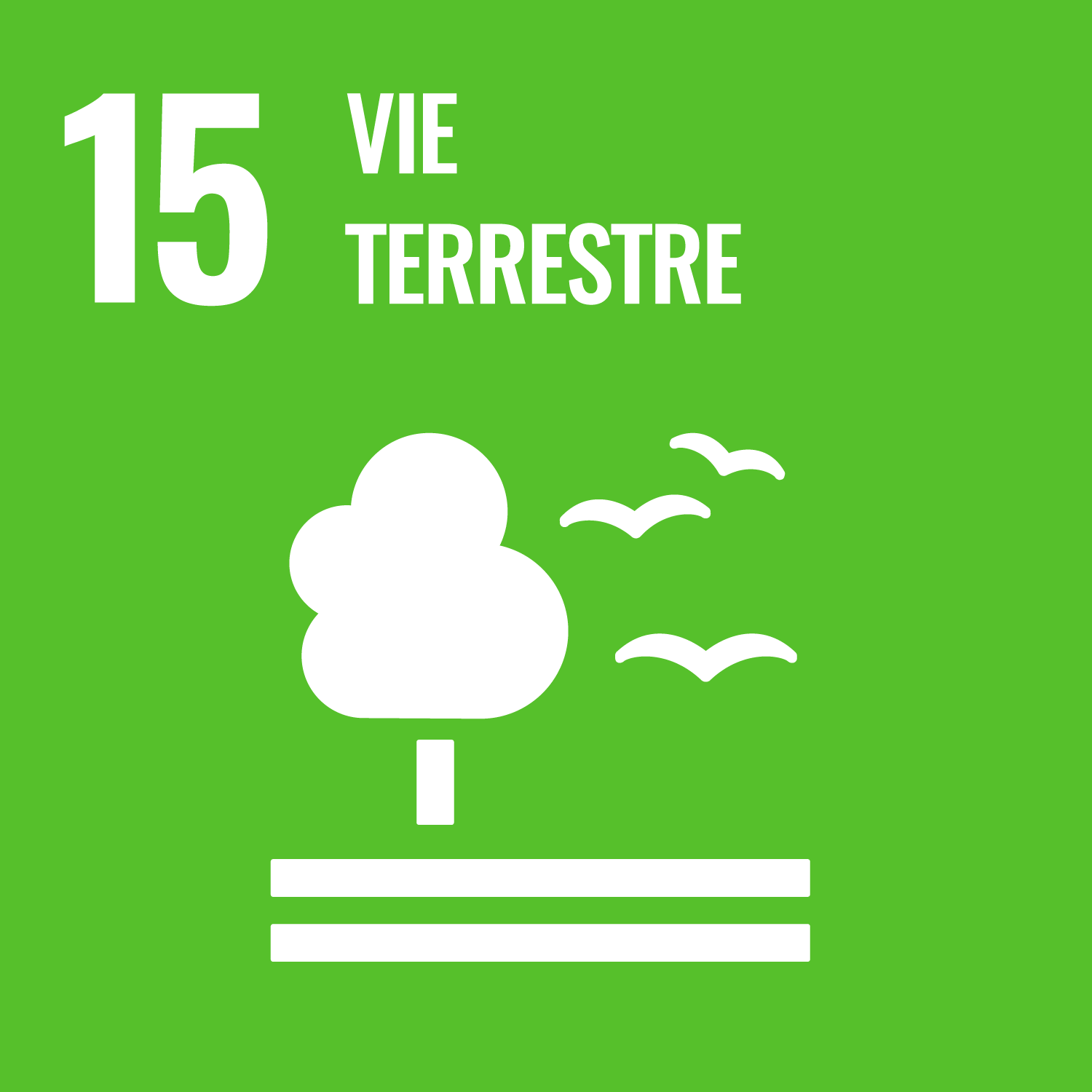 ODD 15 : minimiser les impacts d'un projet sur la vie terrestre